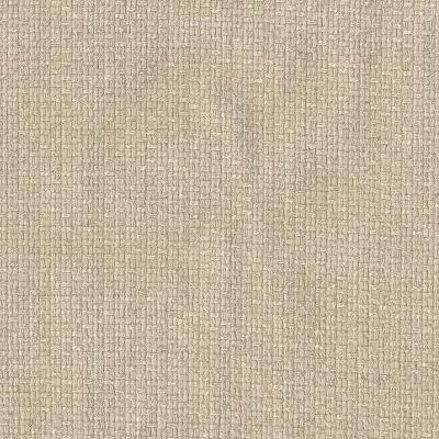 Kasmir Hayden Texture Sisal in Palladium Drapery-Upholstery Polyester Fire Rated Fabric Solid Beige   Fabric