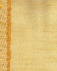 Ikia Gold by  Kasmir 