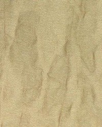 Illuminate Cactus by  Kasmir 