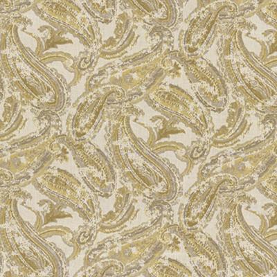 Kasmir Intonaco IO Papyrus in Tommy Bahama Home Upholstery Acrylic Fire Rated Fabric Outdoor Textures and Patterns Classic Paisley   Fabric