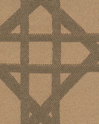 Intuition Fig by  Kasmir 