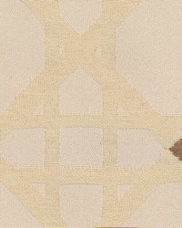 Intuition Shell by  Kasmir 