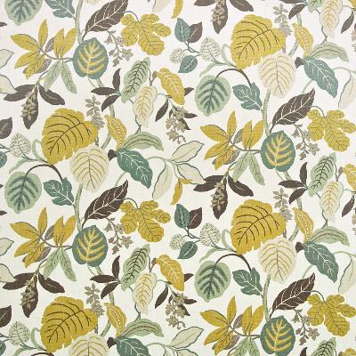 Kasmir Jaffrey Point Pearl in Great Expectations Volume 3 Beige Drapery-Upholstery Cotton Fire Rated Fabric Leaves and Trees   Fabric