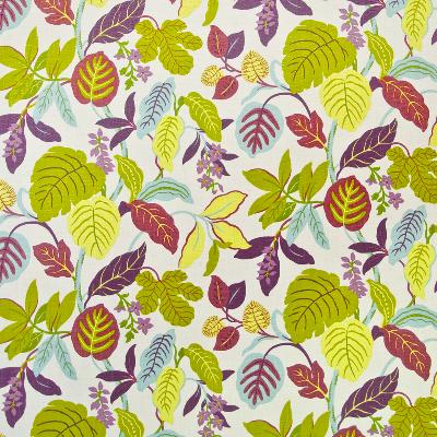 Kasmir Jaffrey Point Petal in Great Expectations Volume 3 Multi Drapery-Upholstery Cotton Fire Rated Fabric Leaves and Trees   Fabric