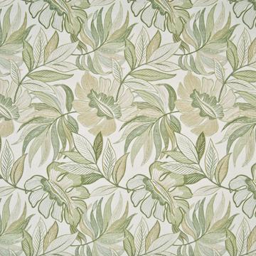 Kasmir Jungle Paradise Isle Breeze in New Attitudes, Volume 3 Green Drapery-Upholstery Polyester Leaves and Trees   Fabric