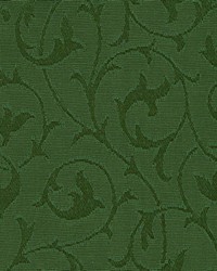 K120 Emerald by  Kasmir 