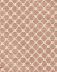 K145 Rose by  Kasmir 