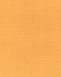 K165 Gold by  Kasmir 