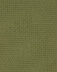 K165 Loden by  Kasmir 