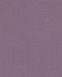 K165 Plum by  Kasmir 