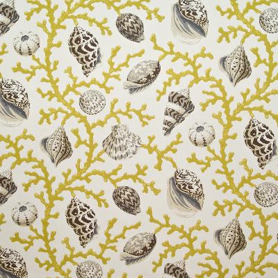 Kasmir Kihalani Bay Citron in Great Expectations Volume 1 Green Drapery-Upholstery Cotton Fire Rated Fabric Sea Shell  Beach  Fabric