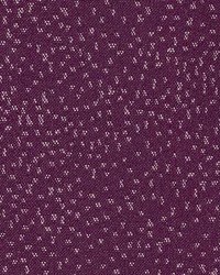 Kirkpatrick Boysenberry by  Kasmir 