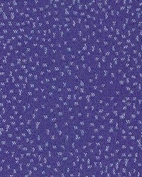 Kirkpatrick Cobalt by  Kasmir 