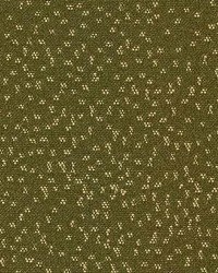 Kirkpatrick Grass by  Kasmir 