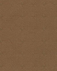 Knightsbridge Latte by  Kasmir 