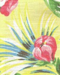 Ladonna Sunshine by  Kasmir 