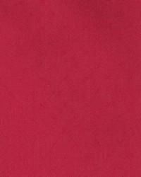 Limelight Cranberry by  Kasmir 