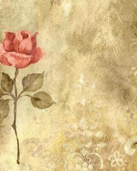 Lively Sage by  Kasmir 