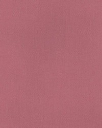 Longmont Blossom by  Kasmir 