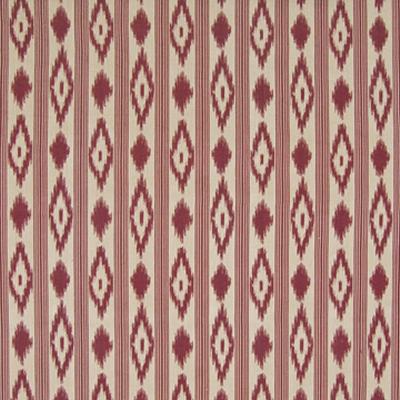 Kasmir Mambo Stripe Bouquet in Promenade Red Multipurpose Cotton Fire Rated Fabric Wide Striped  Navajo Print   Fabric