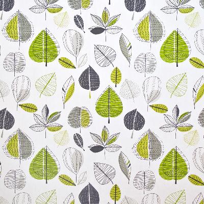 Kasmir Maplewood Park Lime in Great Expectations Volume 3 Green Drapery-Upholstery Cotton Leaves and Trees   Fabric