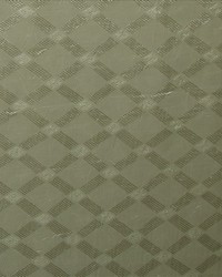 Market Fern by  Kasmir 