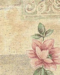 Marnie Shell by  Kasmir 