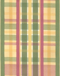 Marquis Peony by  Kasmir 