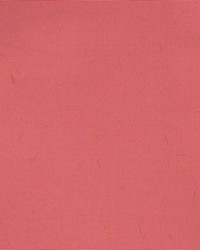 Martina Coral by  Kasmir 