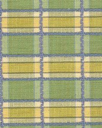 Maxim Palm by  Kasmir 