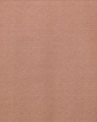 Mayfair Adobe by  Kasmir 