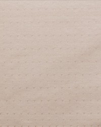 Mayfair Cream by  Kasmir 