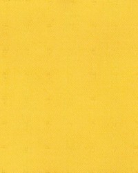 Mayfair Neon by  Kasmir 