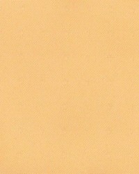 Mayfair Straw by  Kasmir 