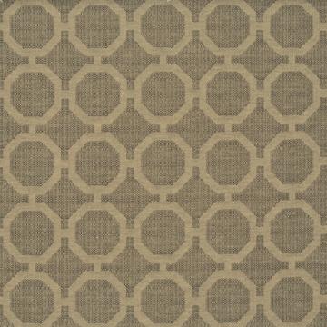 Kasmir Metroplex Tigers Eye in Favorite Things, Volume 1 Brown Multipurpose Cotton  Blend Fire Rated Fabric Circles and Swirls  Fabric