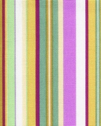 Midway Grape by  Kasmir 