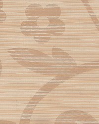 Millenium Biscuit by  Kasmir 