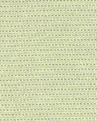 Mitchell Mint by  Kasmir 