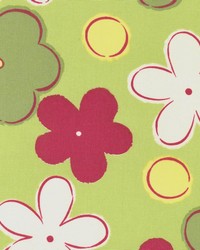 Niles Lime by  Kasmir 