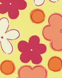 Niles Sun by  Kasmir 