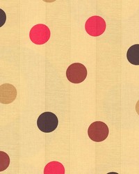 Norway Cafe by  Kasmir 