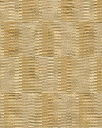 Olson Gold by  Kasmir 