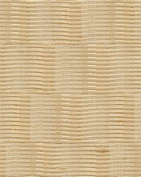 Olson Honey by  Kasmir 