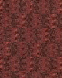 Olson Spice by  Kasmir 