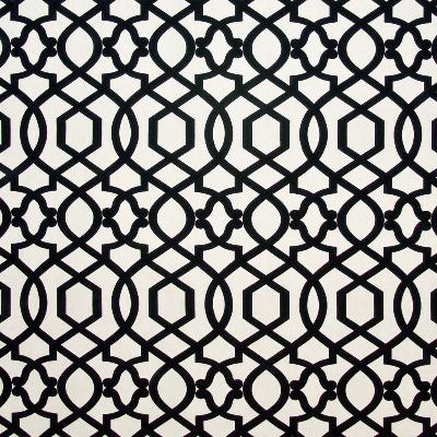 Kasmir Padonia Trellis Domino in Great Expectations Volume 1 White Drapery-Upholstery Cotton Fire Rated Fabric Trellis Diamond  Patterned Velvet   Fabric