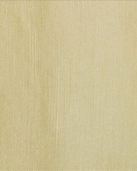 Pagoda Silk by  Kasmir 