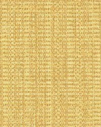 Palisade Straw by  Kasmir 