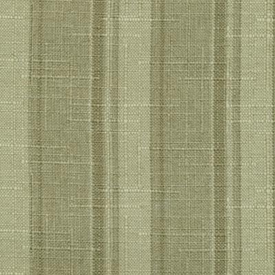 Kasmir Palm Beach Pesto in Coastal Living Green Drapery Polyester Striped   Fabric