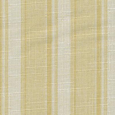 Kasmir Palm Beach Scotch in Coastal Living Yellow Drapery Polyester Striped   Fabric