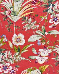 Paradise Palm Coral by   